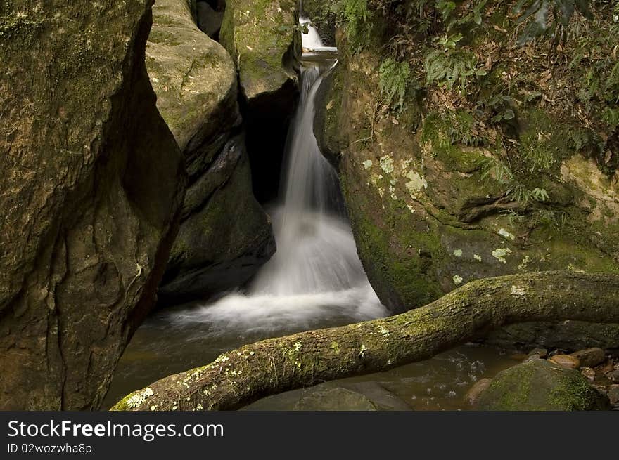 In the Blue mountains there are many hidden springs and falls, this is just one. In the Blue mountains there are many hidden springs and falls, this is just one