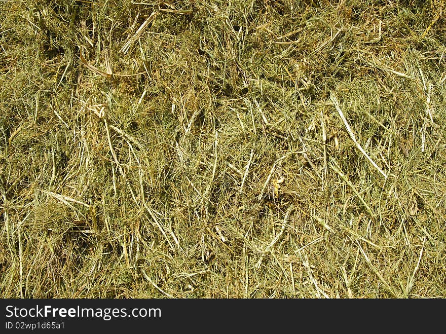 The grass is piled up cattle winter rations. The grass is piled up cattle winter rations.