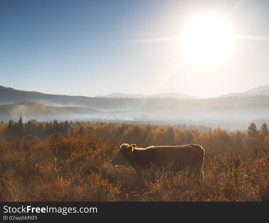 Hemu sunrise in xinjiang china