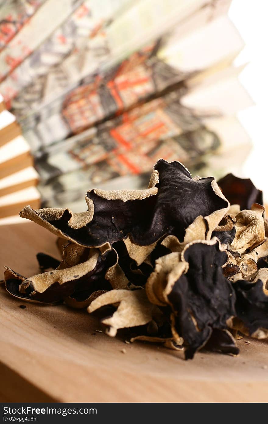 Black fungus on white background