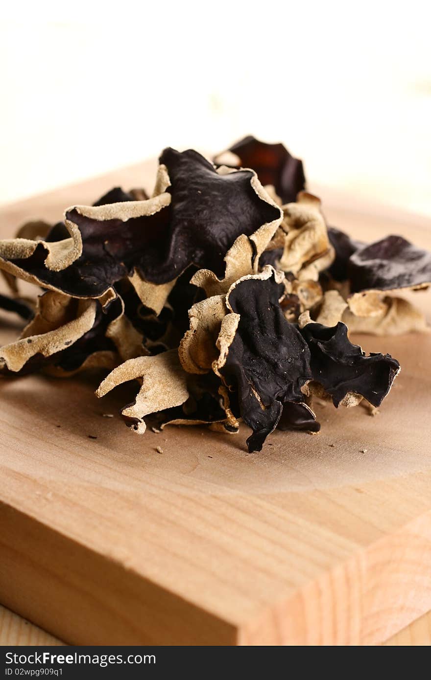 Black fungus on white background