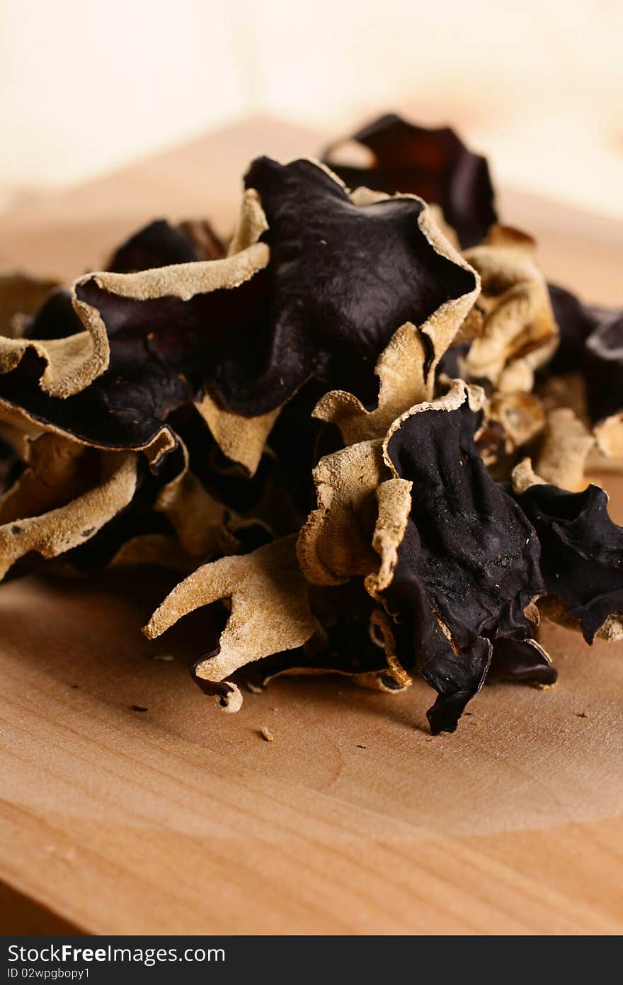 Black fungus on white background