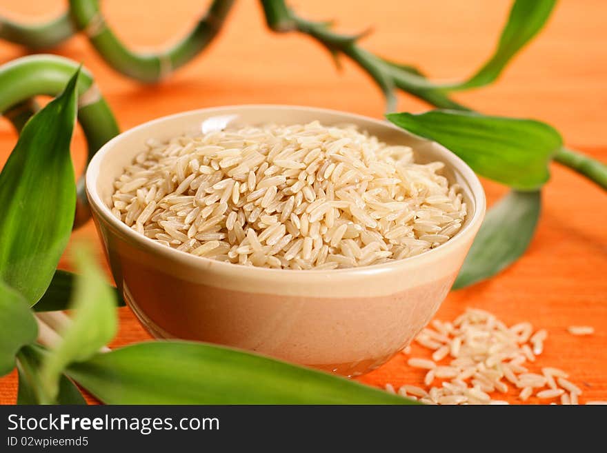 Rice food of Japanese and chinese