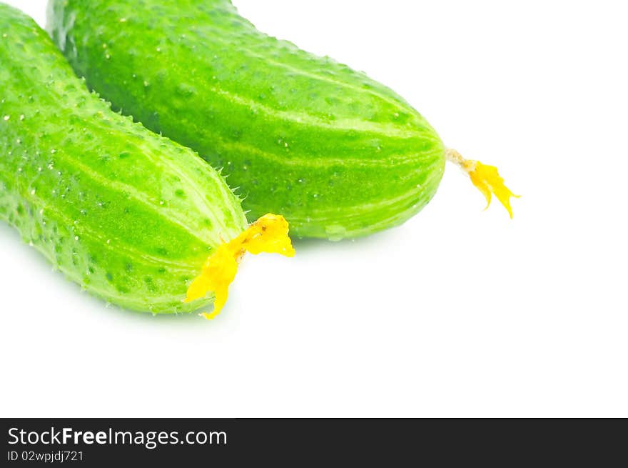 Two fresh green cucumbers isolated over white. Two fresh green cucumbers isolated over white