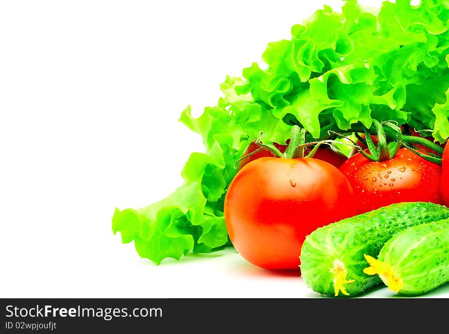 Group of fresh tomatoes, cucumbers and salad isolated on white. Group of fresh tomatoes, cucumbers and salad isolated on white