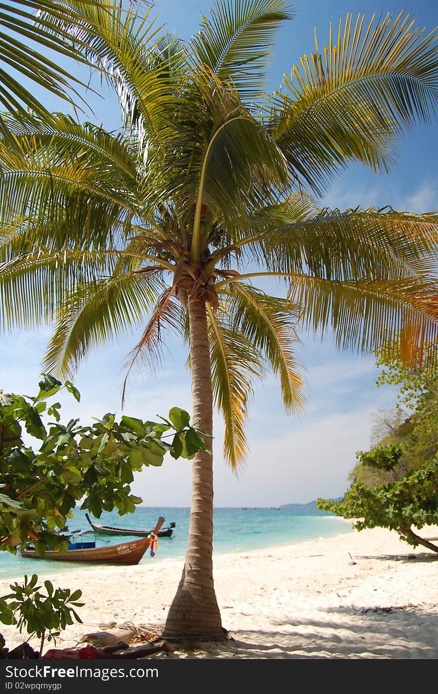 Bamboo Island, Thailand. Palm tree and long-tail-boat on the beach. Bamboo Island, Thailand. Palm tree and long-tail-boat on the beach