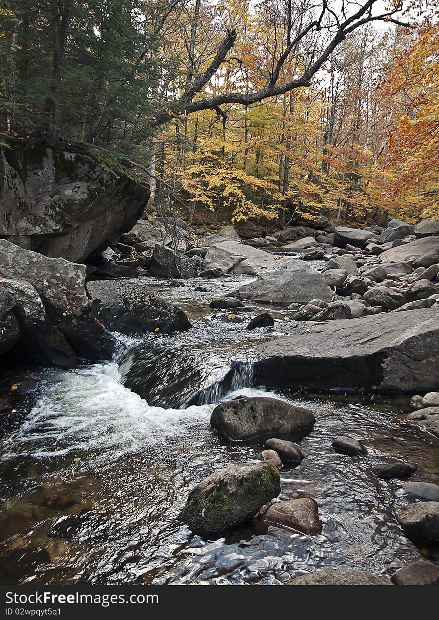 Autumn in the forests of New England by the stream. Autumn in the forests of New England by the stream