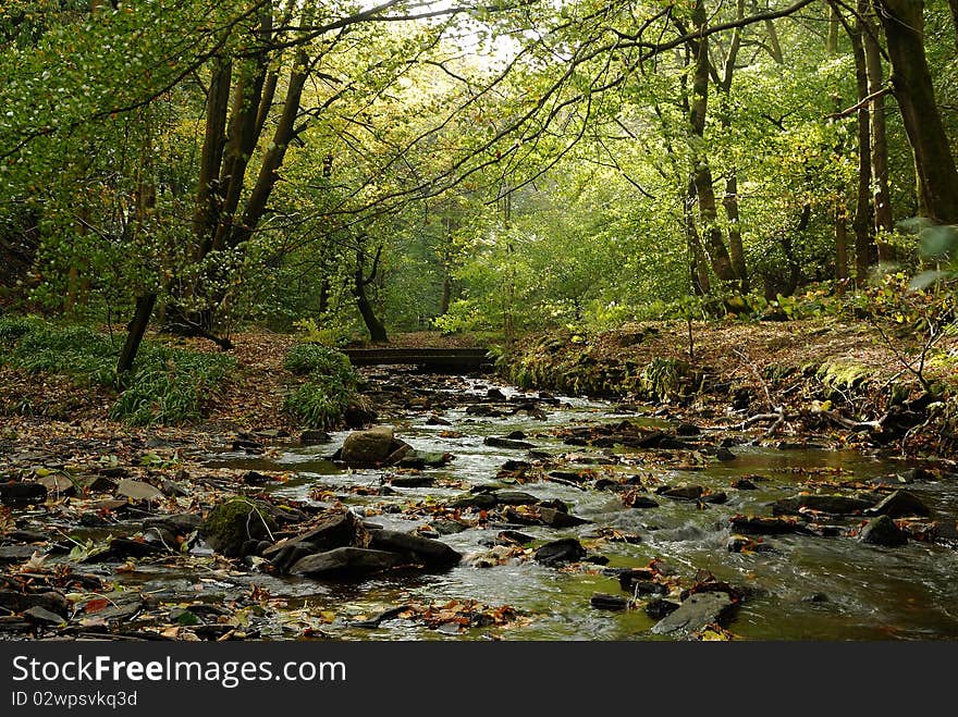 A Bridge over a Fall Stream