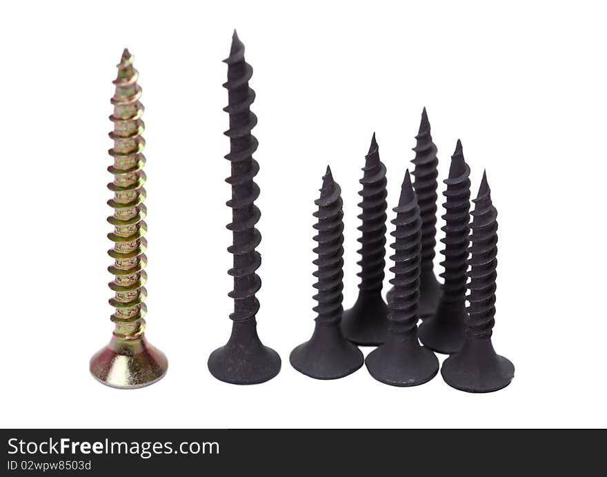 White and black screws. No ethnics. Isolated on white background. White and black screws. No ethnics. Isolated on white background