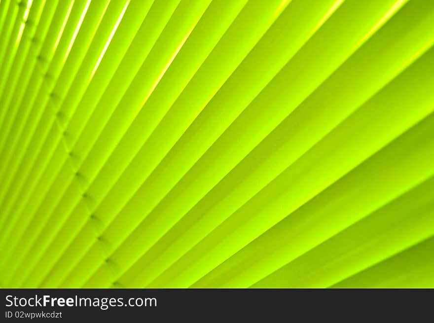 Design green background on Shadow.