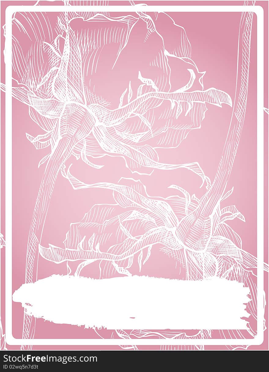 Pink frame with rose, vector illustration