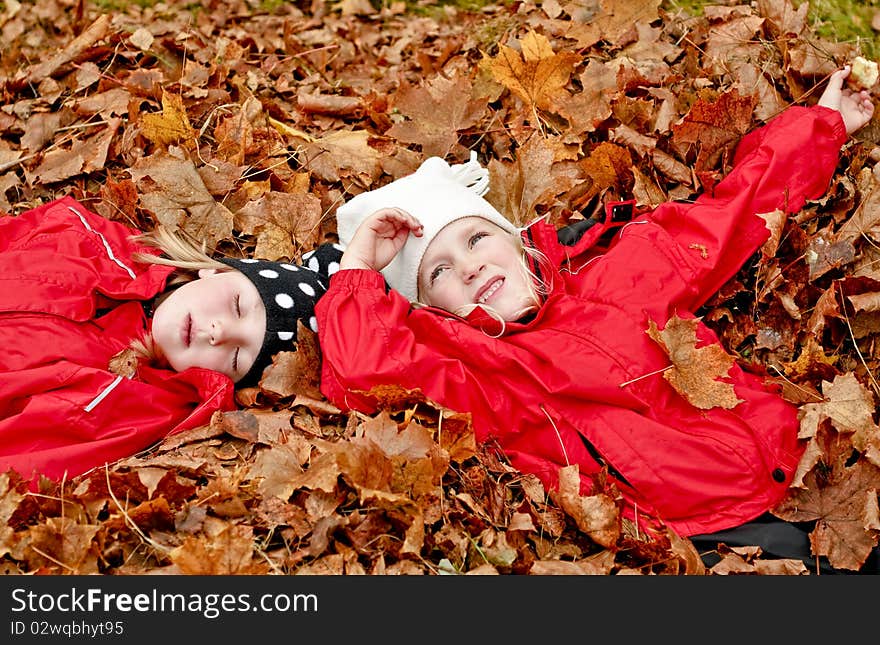 Resting In Leaves