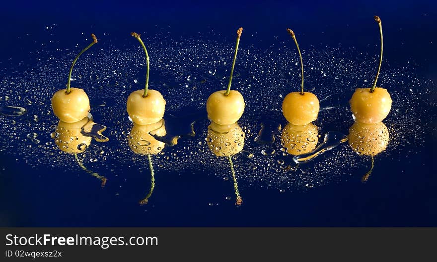 Five yellow cherries are laying in row with bright water drops and reflection against the dark blue background, still life photography. Five yellow cherries are laying in row with bright water drops and reflection against the dark blue background, still life photography