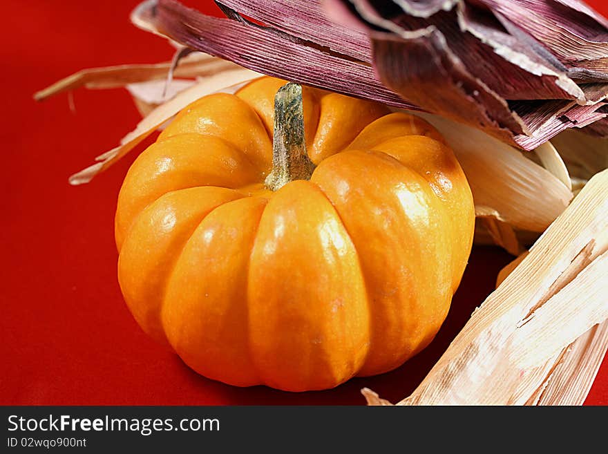 A close up of a small pumpkin. A close up of a small pumpkin.