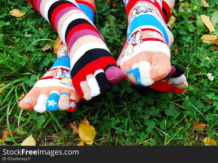 Beauty socks in autumn, on a grass. Beauty socks in autumn, on a grass.