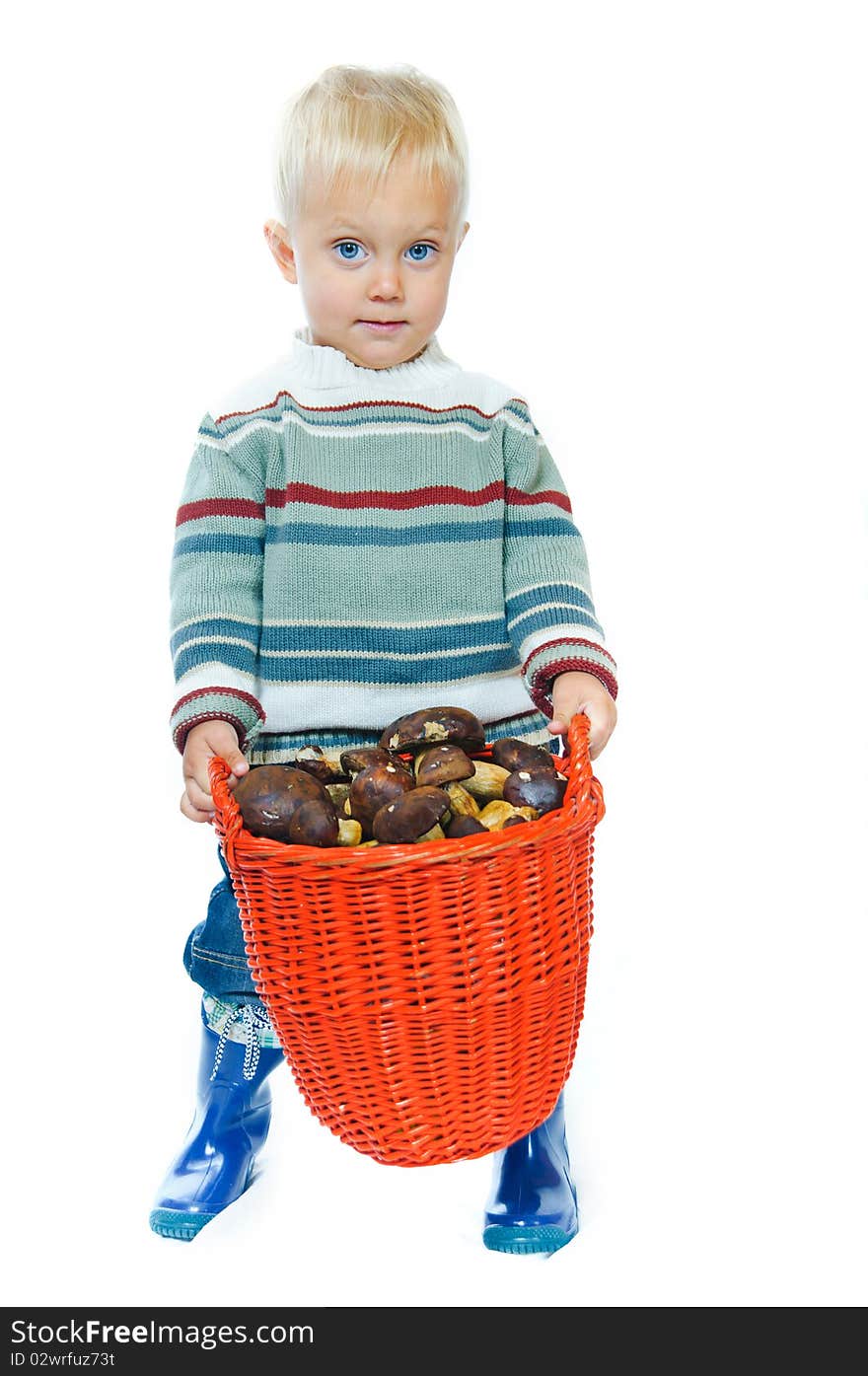 Boy with a basket of mushrooms