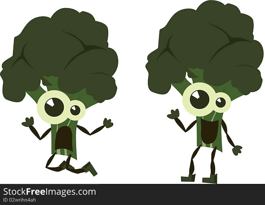 Vector illustration Green Broccoli on white. Vector illustration Green Broccoli on white