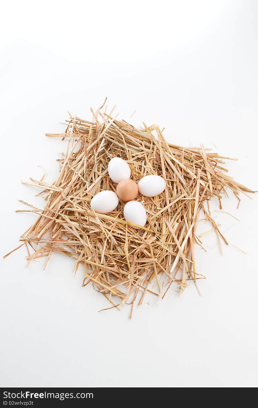 Nest of Brown and White Eggs