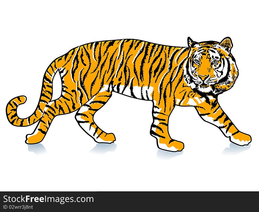 Sneak Tiger, tiger vector illustration