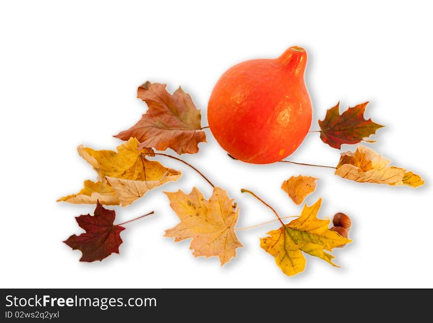 Pumpkin and Leafs Autumn Decoration