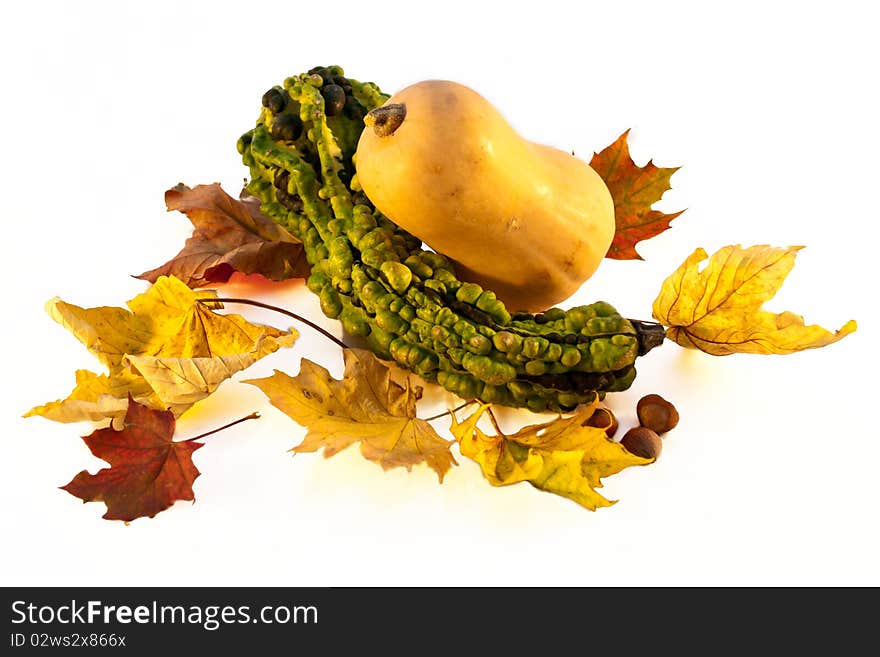 Pumpkin and Leafs Autumn Decoration