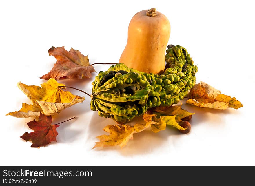 Pumpkin and Leafs Autumn Decoration