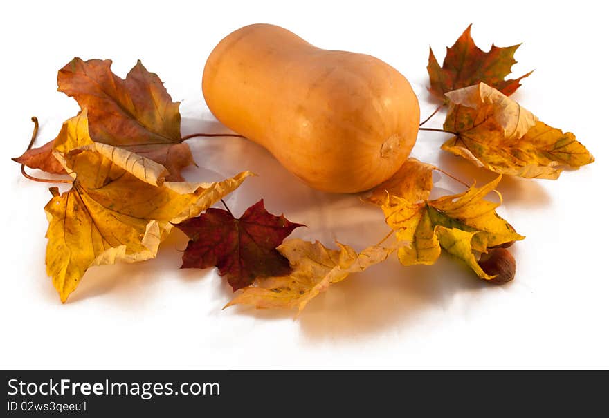 Pumpkin and Leafs Autumn Decoration