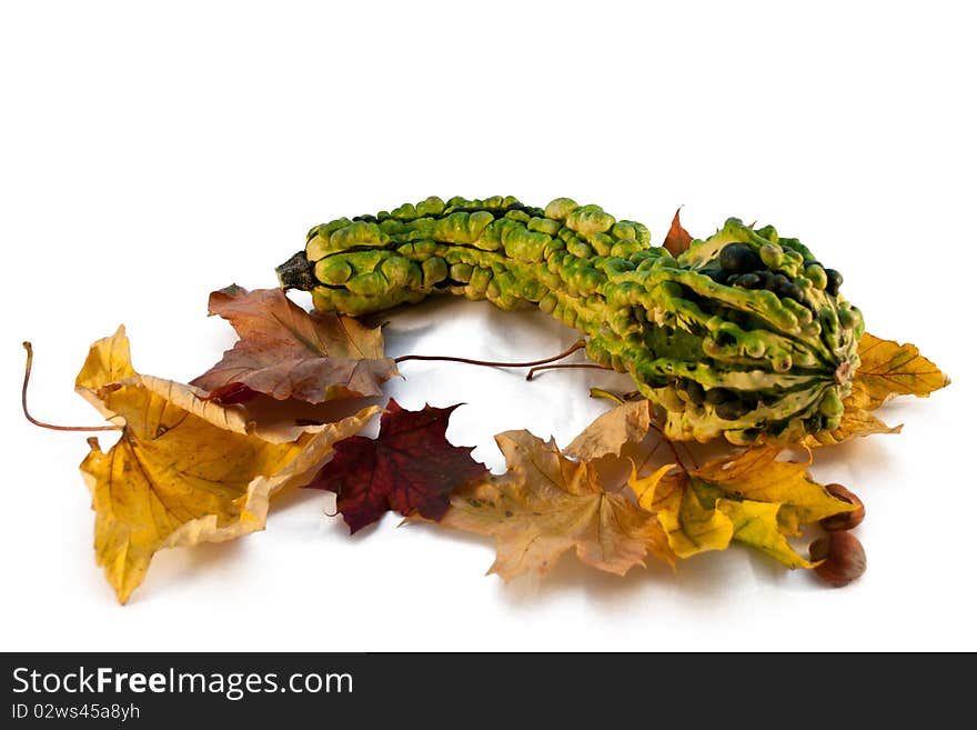 Pumpkin and Leafs Autumn Decoration