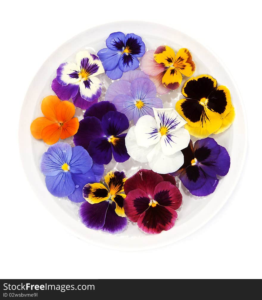 Plate with water sail flower on white background