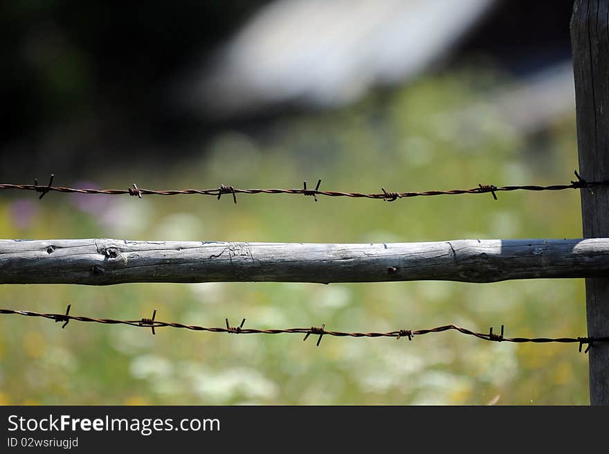 Barbwire on an wooden fence.