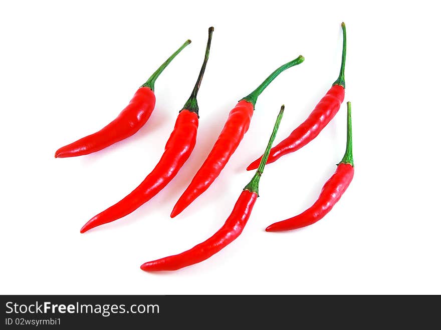 Many of chili isolated on white background