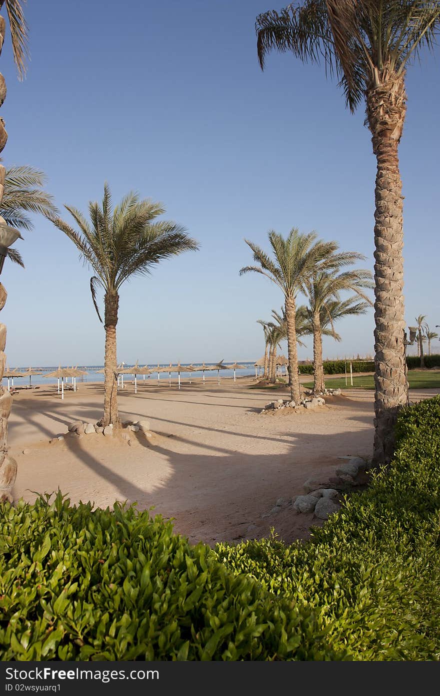 Empty beach and palm trees shot in sharm el sheikh egypt