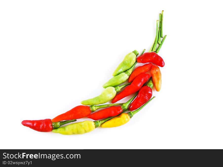 Aligned colorful chili isolated on white background