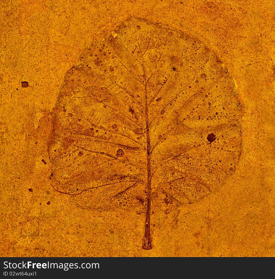 The Leaf imprint on concrete floor