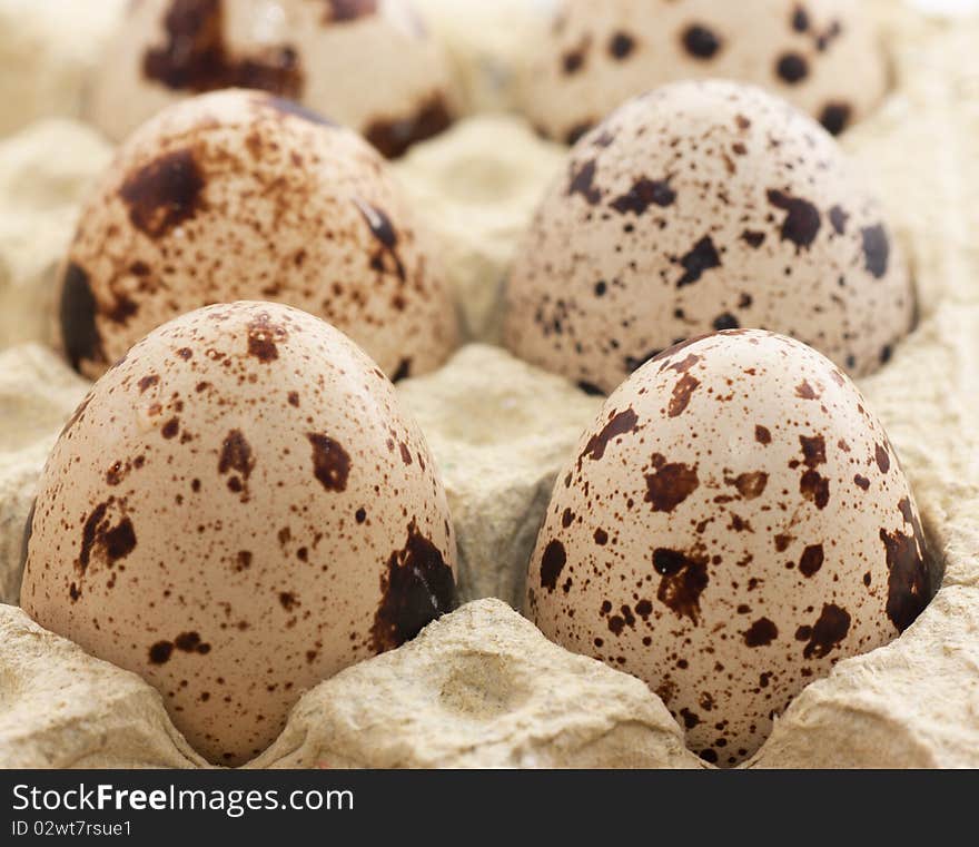 Quail eggs in special safe box.