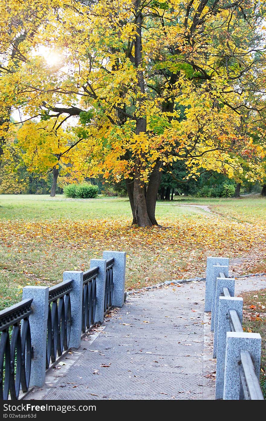 Bridge from the marble in the autumnal park. Bridge from the marble in the autumnal park