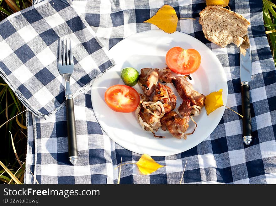 Grilled meat picnic dinner with place setting and autumn leaves. Grilled meat picnic dinner with place setting and autumn leaves