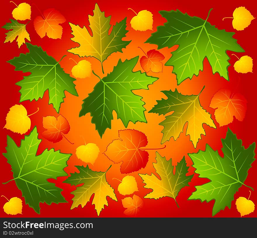 Autumnal seamless background with leaves for a design. Autumnal seamless background with leaves for a design