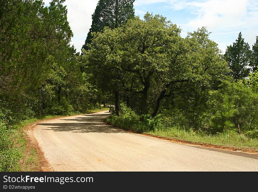 Driving through a country road with trees lining up the road. Driving through a country road with trees lining up the road