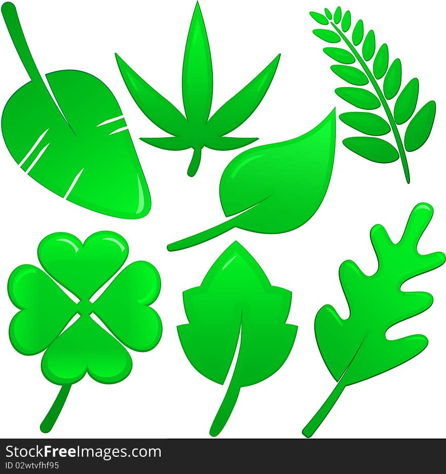 Set of different green leaves