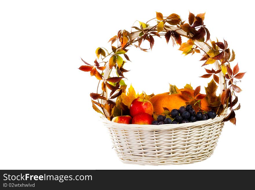 Autumn s basket