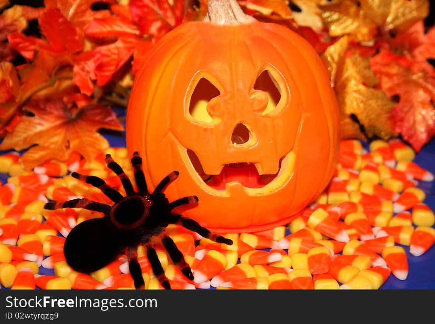 Jack o lantern with candy and a spider