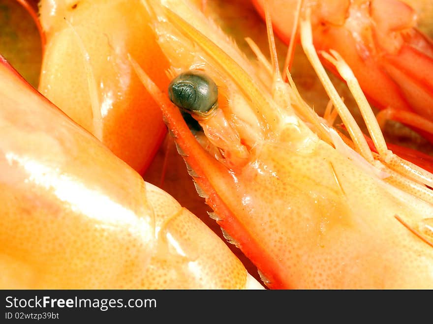 Detail of a head with the eye of shrimp on top. Detail of a head with the eye of shrimp on top