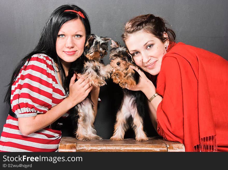 Two girls pose with small yorkshire-terriers. Two girls pose with small yorkshire-terriers