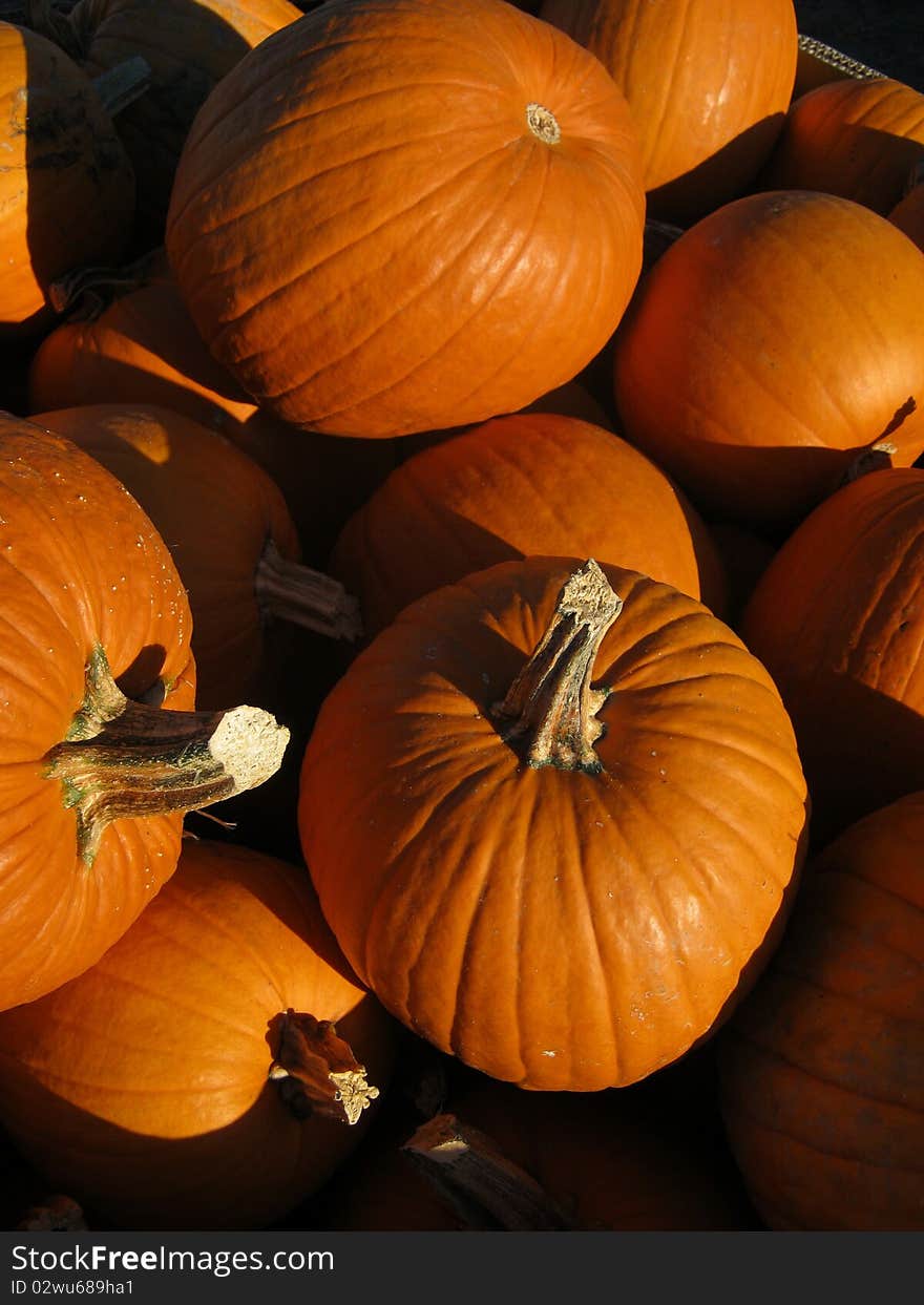 A group of pumpkins for sale at a local roadside market. A group of pumpkins for sale at a local roadside market.