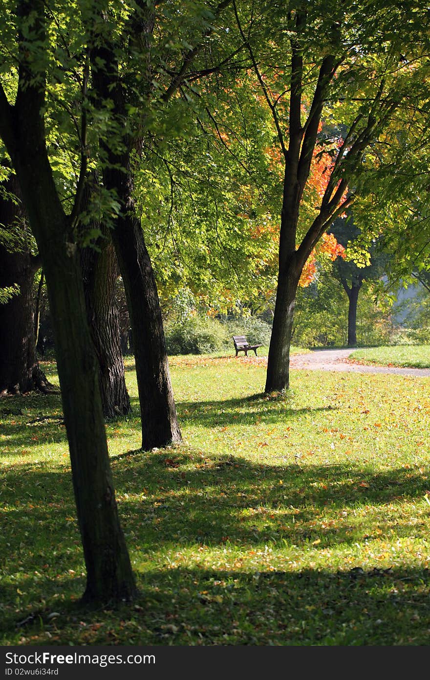 Early autumn in the park