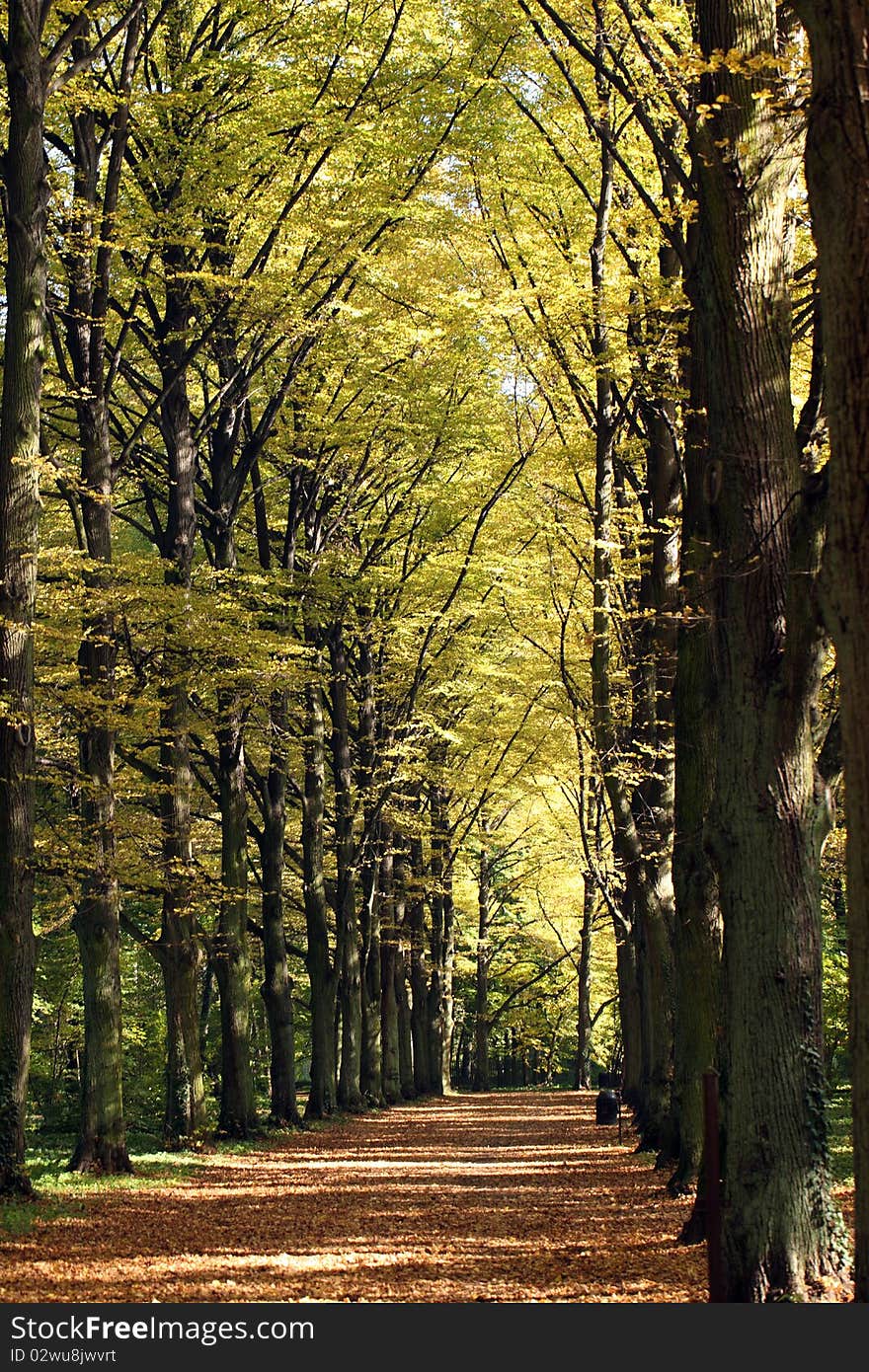 Early autumn in the park