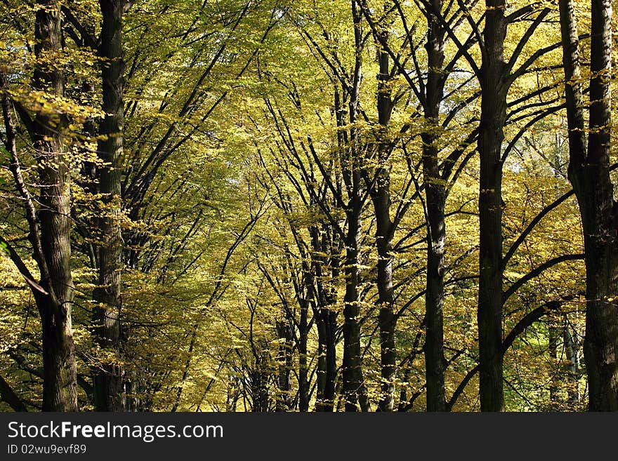 Autumn in the South Park, Wroclaw, Poland. Autumn in the South Park, Wroclaw, Poland