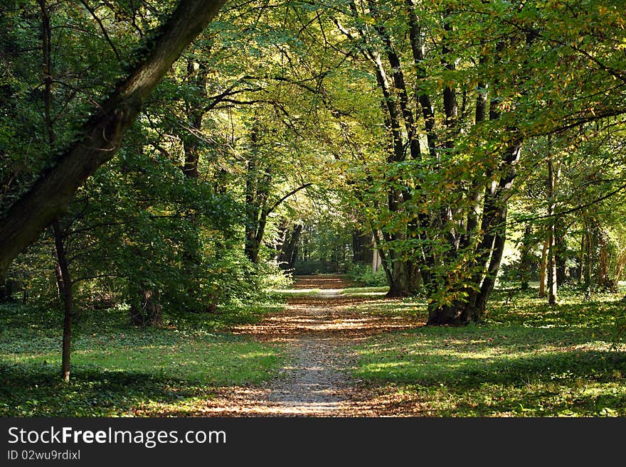 Early autumn in the park