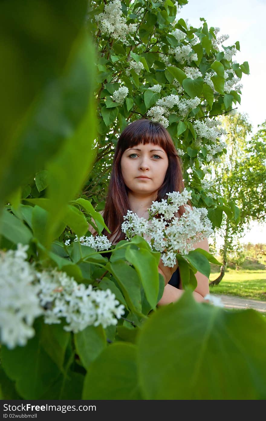 Portrait of young beautiful woman with pipe-tree. Portrait of young beautiful woman with pipe-tree.